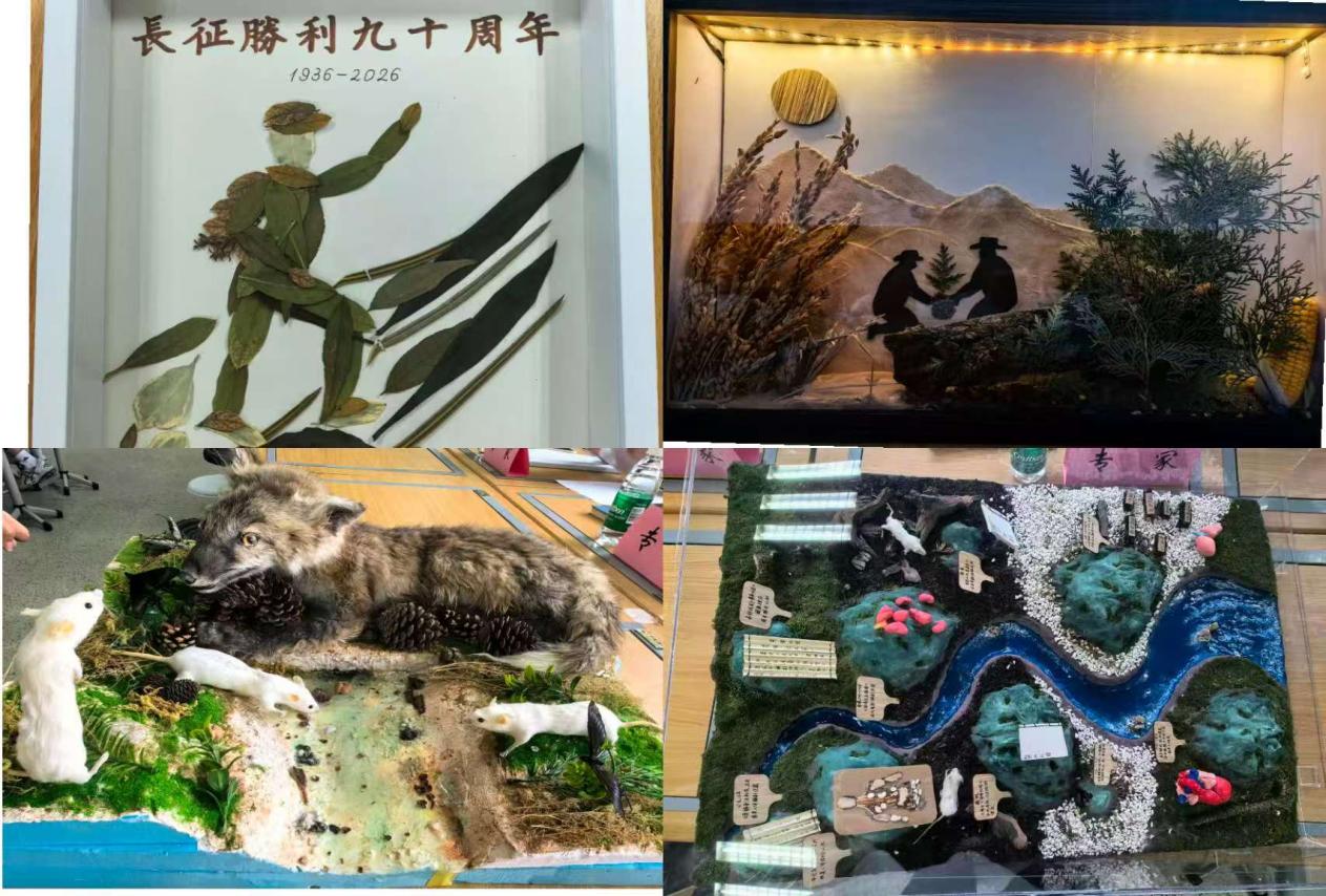 活动现场二 活动现场二