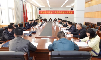 第三代表团 