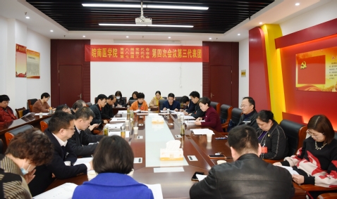 第三代表团讨论会场