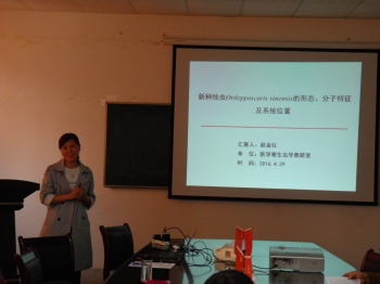 赵金红副教授